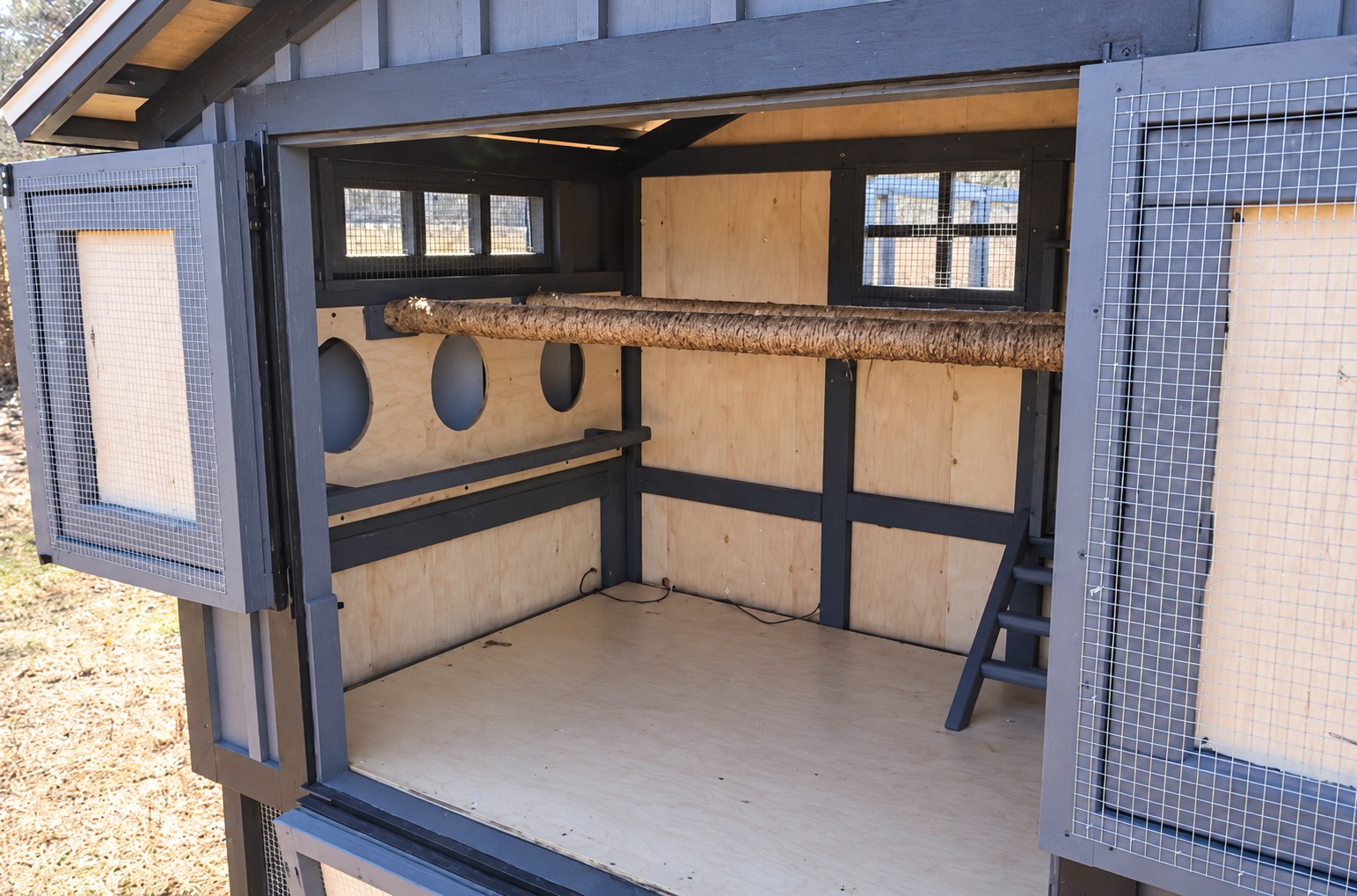Interior roost and circular openings to the nesting area