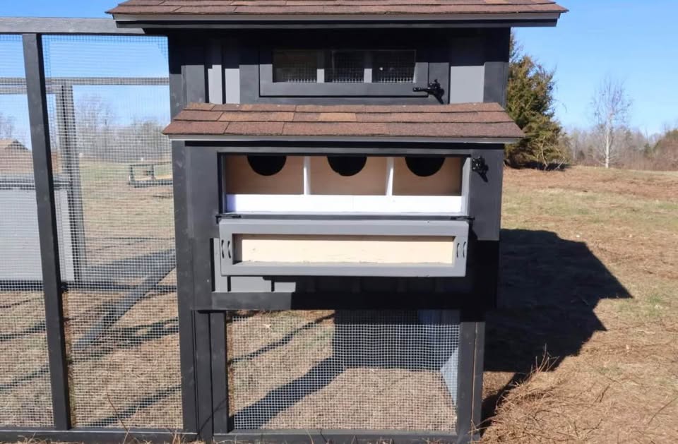 A closer view of the wooden nesting area